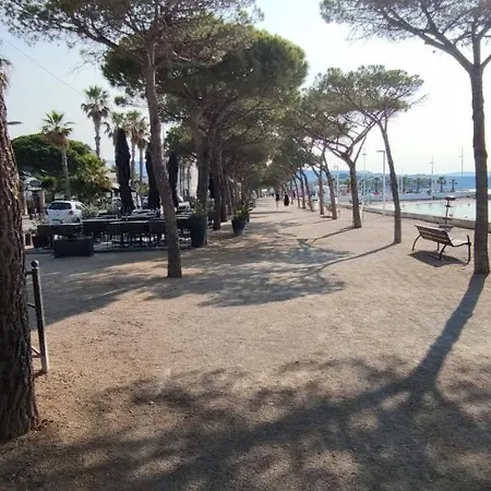 Petit Simple Au Bord Des Plages *