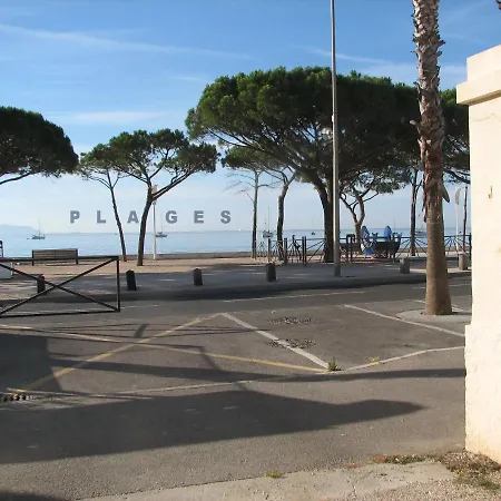 Petit Simple Au Bord Des Plages * ラシオタ