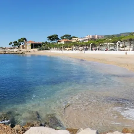 Petit Simple Au Bord Des Plages *